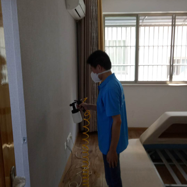 室内空气净化甲醛治理